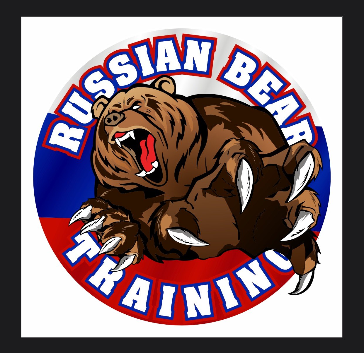 Uploaded logo preview